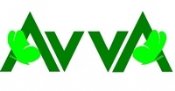 Avva